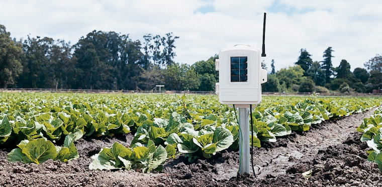 Leaf Wetness Soil Moisture Station